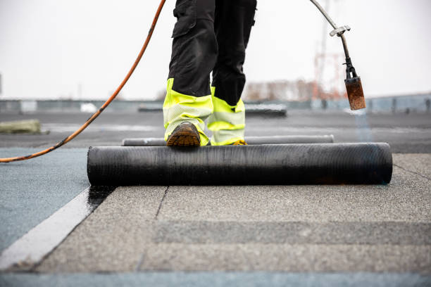 Best Metal Roofing Installation  in Skidaway Island, GA