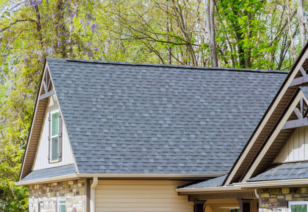 Best Chimney Flashing Repair  in Skidaway Island, GA