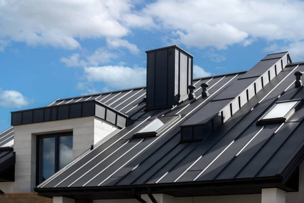 Best Skylight Installation and Repair  in Skidaway Island, GA